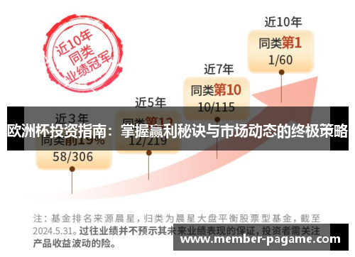 欧洲杯投资指南：掌握赢利秘诀与市场动态的终极策略