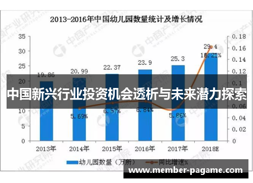 中国新兴行业投资机会透析与未来潜力探索