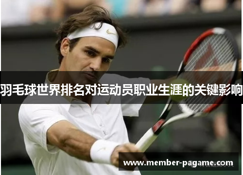 羽毛球世界排名对运动员职业生涯的关键影响 羽毛球世界排名对运动员职业生涯的关键影响