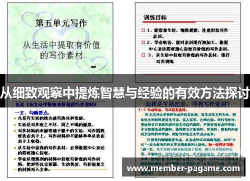 从细致观察中提炼智慧与经验的有效方法探讨
