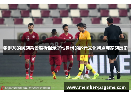 张琳芃的民族背景解析揭示了他身份的多元文化特点与家族历史