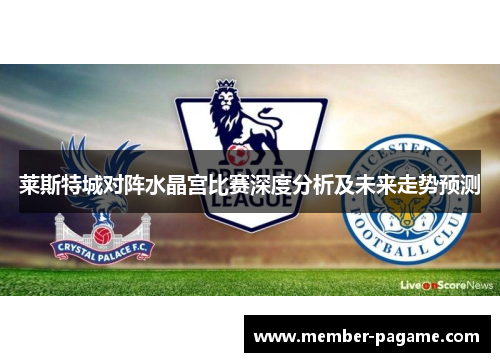莱斯特城对阵水晶宫比赛深度分析及未来走势预测