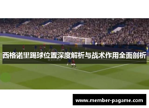 西格诺里踢球位置深度解析与战术作用全面剖析 西格诺里踢球位置深度解析与战术作用全面剖析