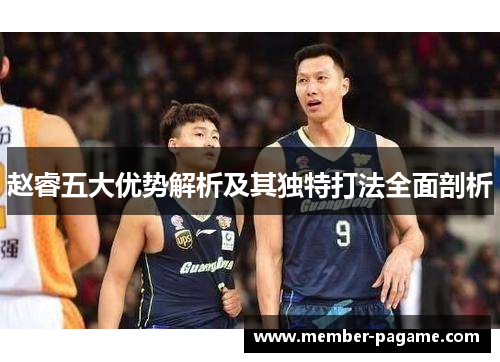赵睿五大优势解析及其独特打法全面剖析