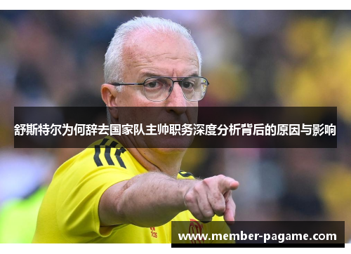 舒斯特尔为何辞去国家队主帅职务深度分析背后的原因与影响