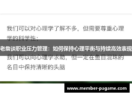 老詹谈职业压力管理:如何保持心理平衡与持续高效表现 老詹谈职业压力管理:如何保持心理平衡与持续高效表现